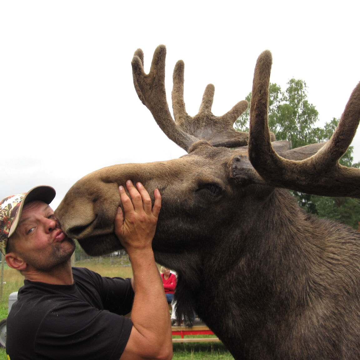 Visit vastmanland gardsjo alpark toppbild