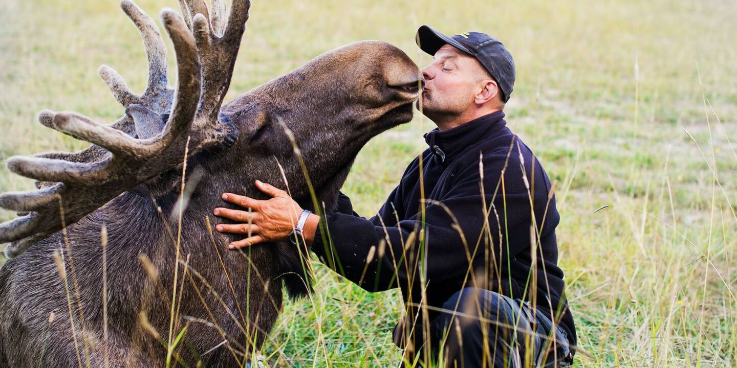 Visit vastmanland gardsjo algpark algkyss toppbild