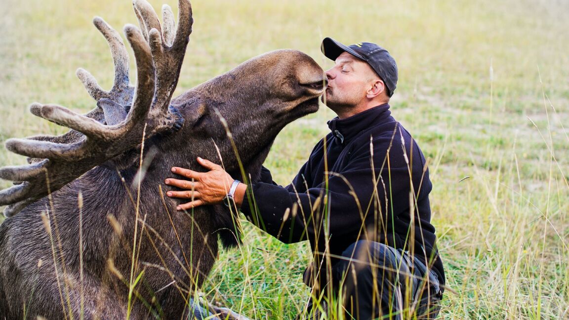 Visit vastmanland gardsjo algpark algkyss toppbild