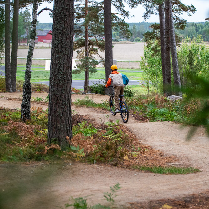 Mtb visitvastmanland medaker bild3