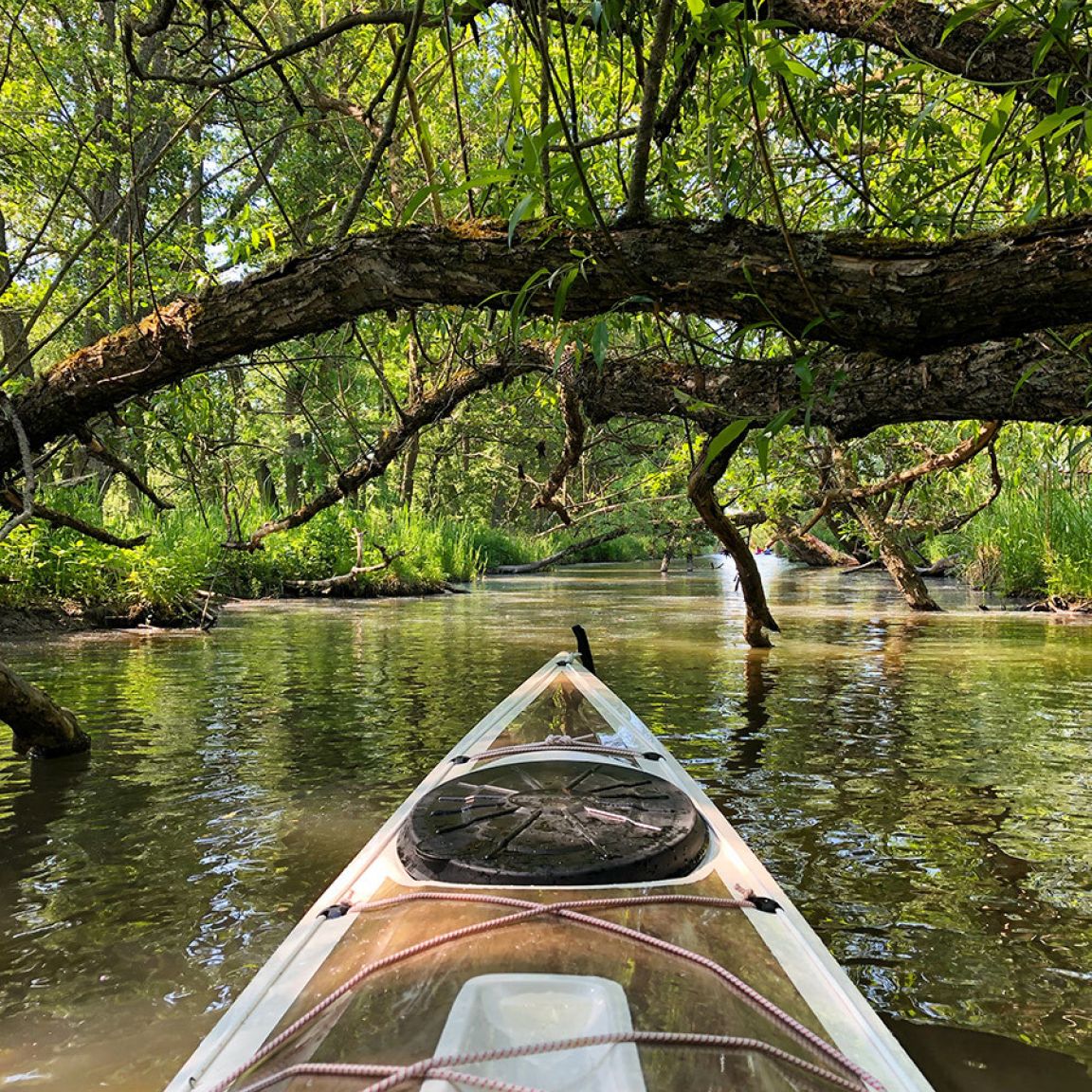 Visit vastmanland aktivtuteliv paddling gronska