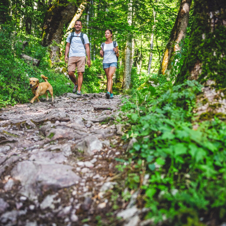 Visit vastmanland bruksleden toppbild variant1