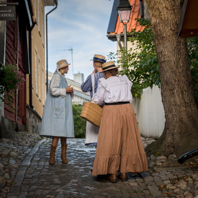 Visit vastmanland delia och datiden toppbild