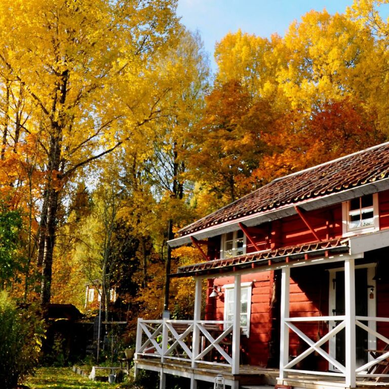 Naturnära på Edens Garden