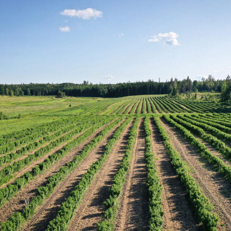 Visitvastmanland farna odlingar toppbild