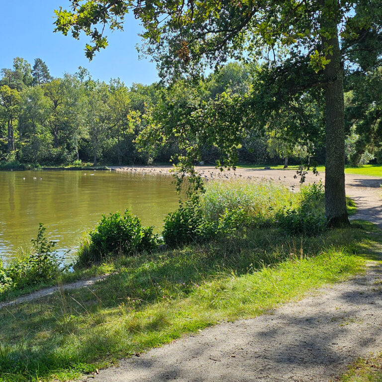 Visitvastmanland firstcamp bad johannesberg