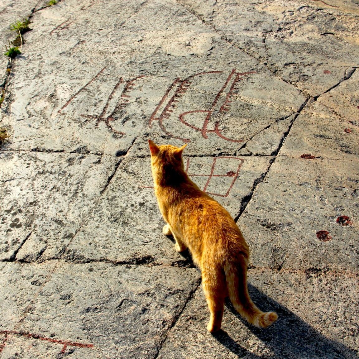 Visit vastmanland hjalesta hallristning toppbild