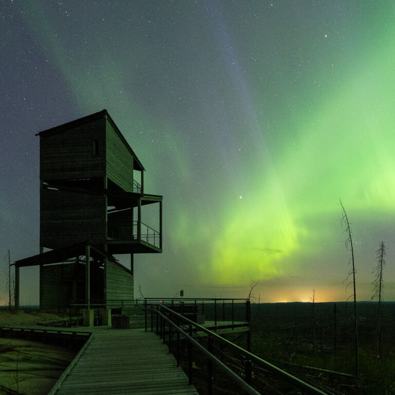 Halleskogsbrannan