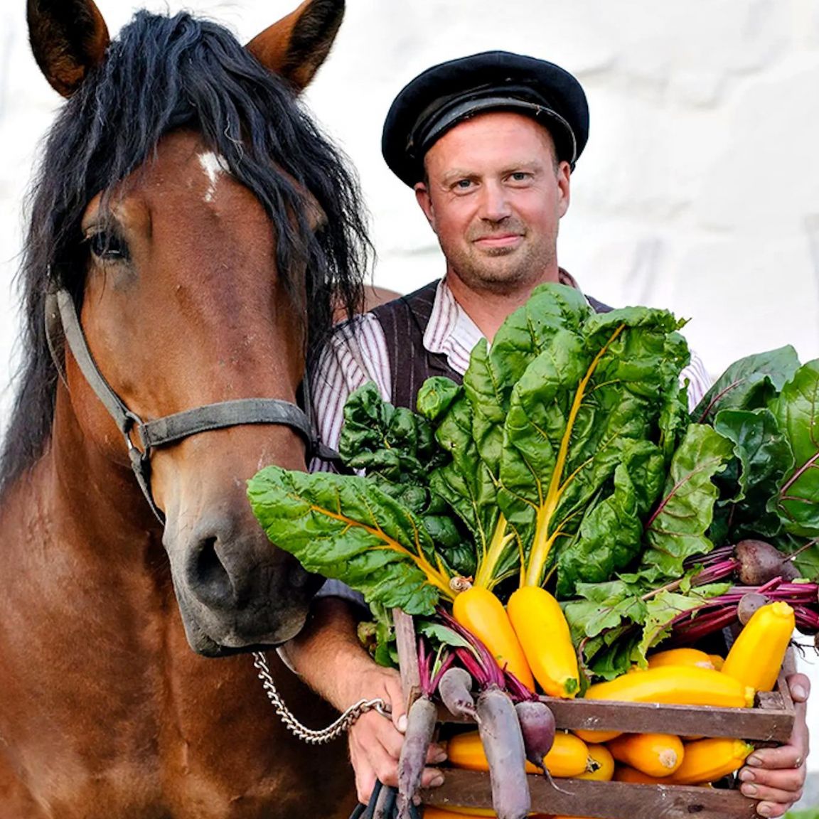 Visit Västmanland - Häst- och grönsaksbonden
