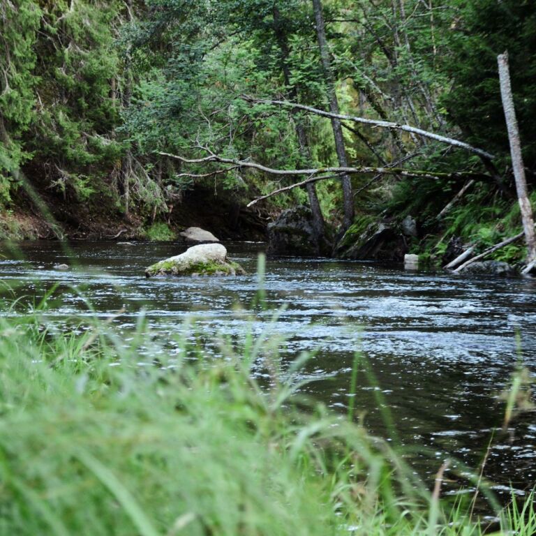 Visit vastmanland hedstrommen toppbild