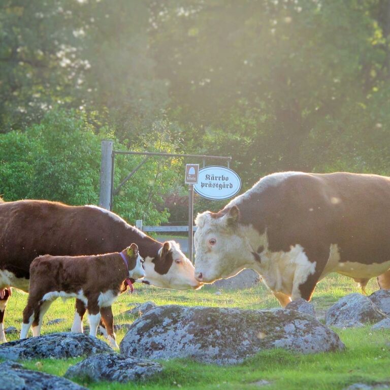 Visit vastmanland karrbo prastgard toppbild