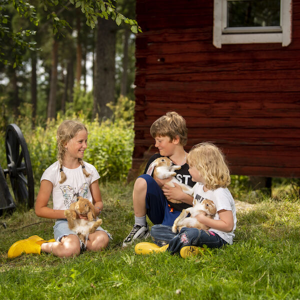 Visit vastmanland kolsta hagar barn