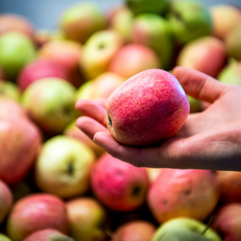 Visit vastmanland kopings musteri apple