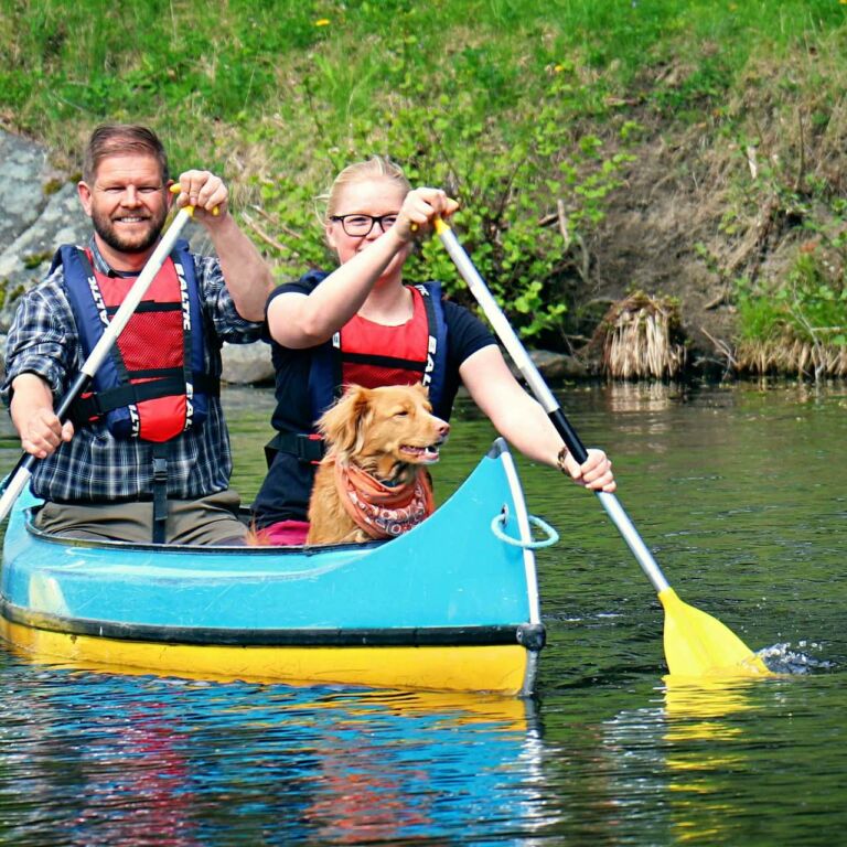 Paddlar canadensare vid sluss Strömsholmskanal