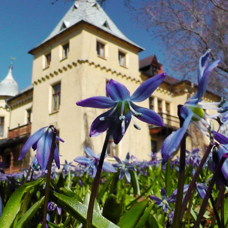 Visitvastmanland odenas toppbild