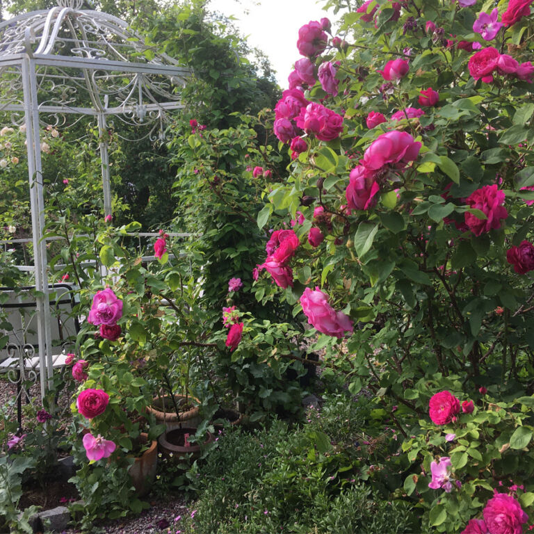 Visitvastmanland perpersgarden tradgard2