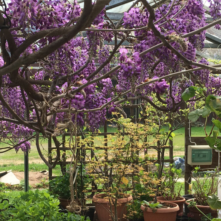 Visitvastmanland perpersgarden tradgard3