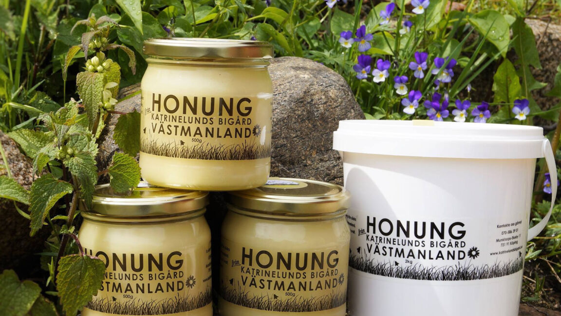Visitvastmanland katrinelundsbigard toppbild