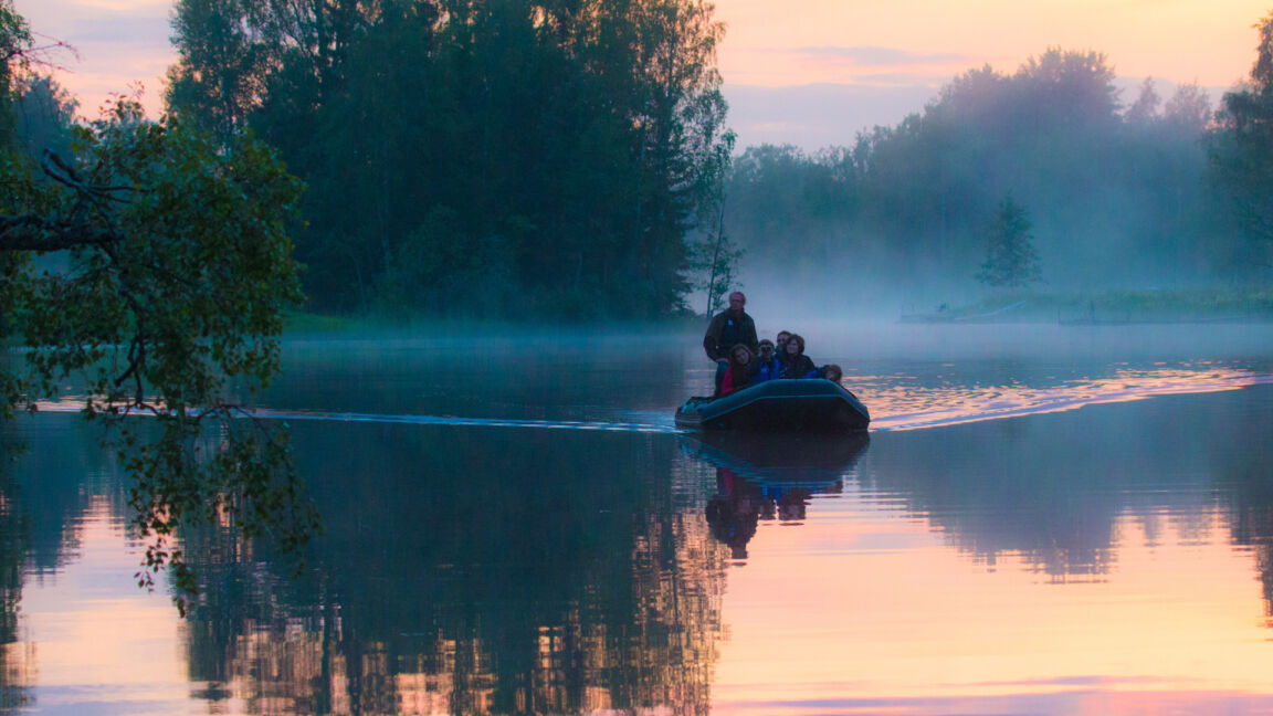 Visit vastmanland wild sweden gryning baver bat