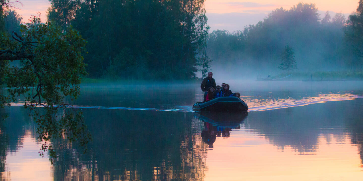 Visit vastmanland wild sweden gryning baver bat
