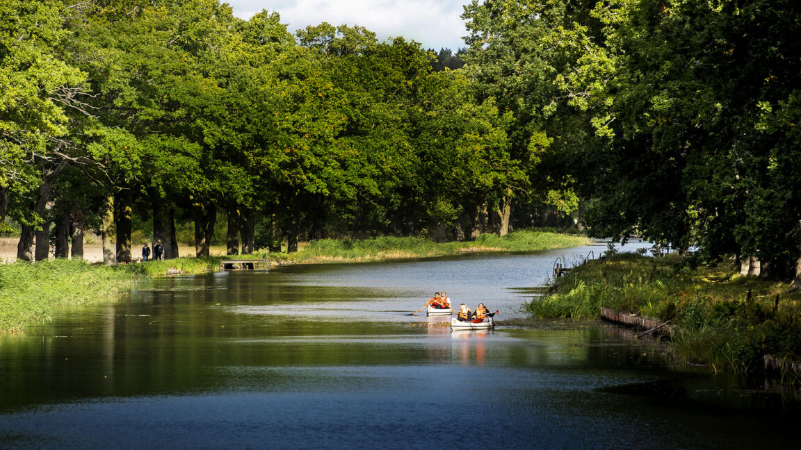 Två kajaker i Hjälmare kanal