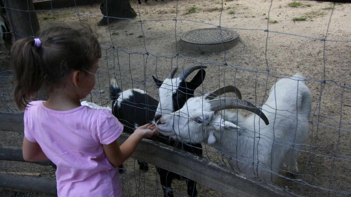 Visit vastmanland barnofamilj toppbild