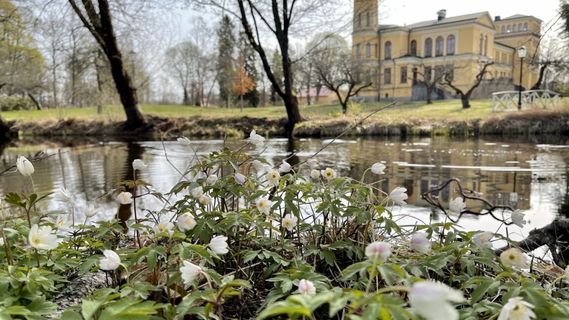Visit vastmanland historisk vandring surahammar urban dimberg toppbild