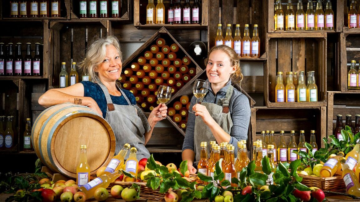 Visit vastmanland kopings musteri toppbild