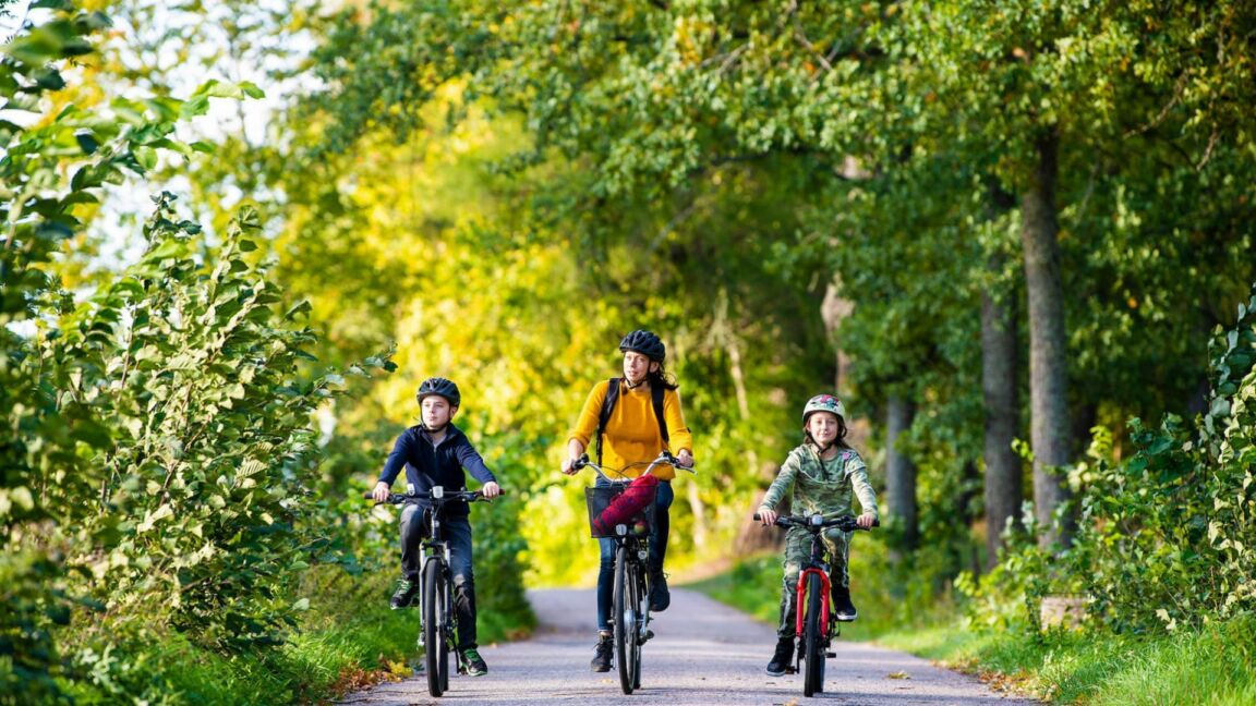 Visit vastmanland kungsor cykla