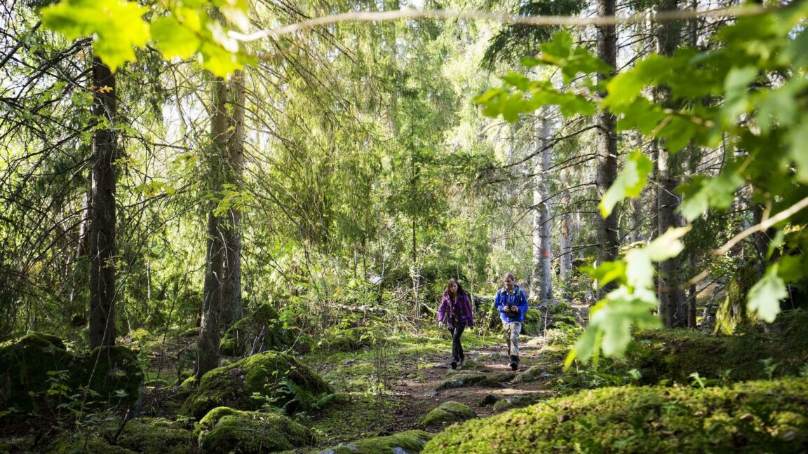 Visit vastmanland ormdalsslingan toppbild2jpg