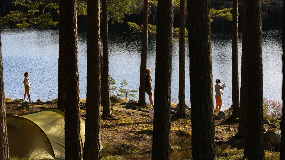 Visit vastmanlands outnbeyond fiske foto jan gustafsson