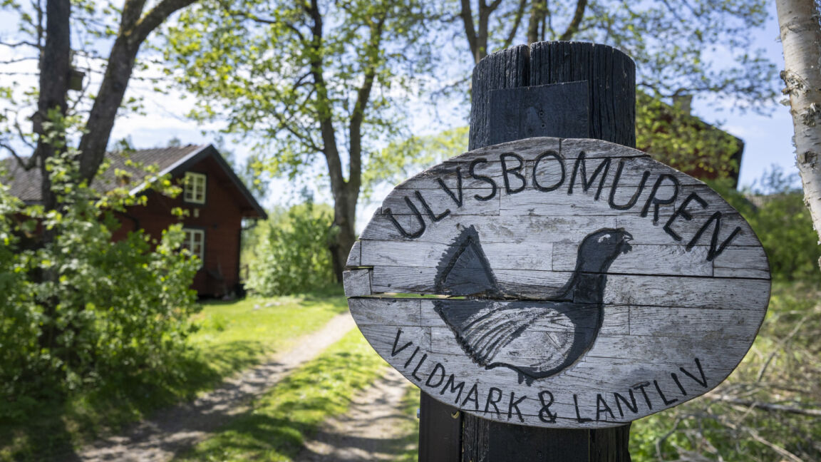Visitvastmanland ulvsbomuren artikel header