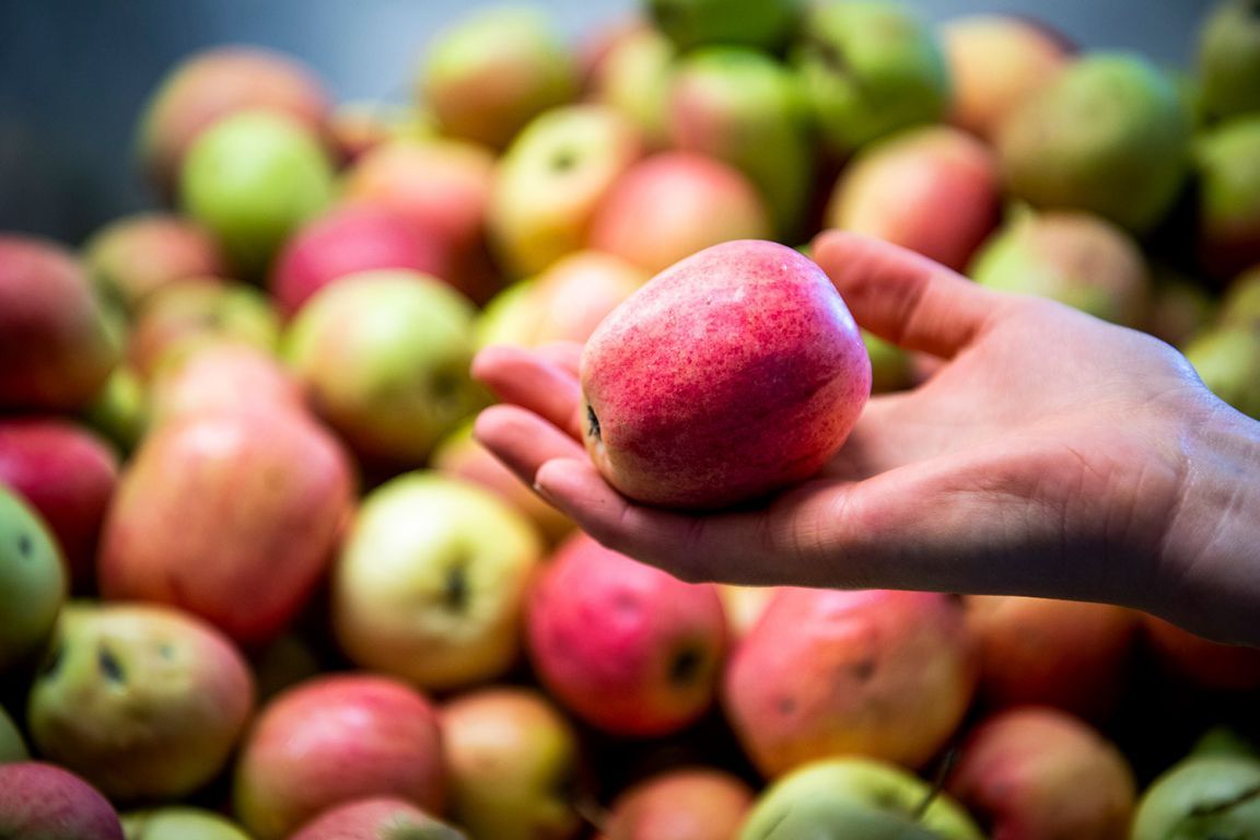 Visit vastmanland kopings musteri apple