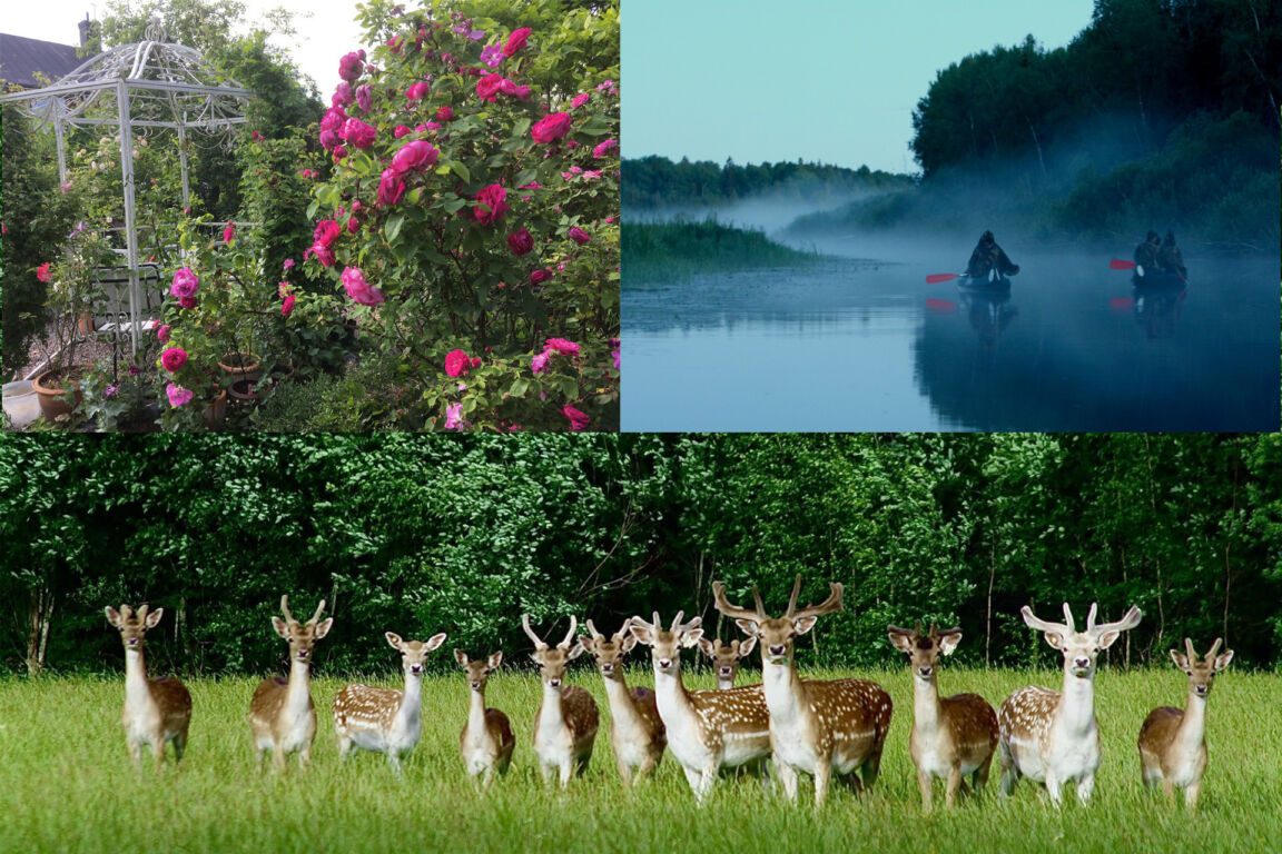 Visitvastmanland lasjovilt edensgarden persgarden