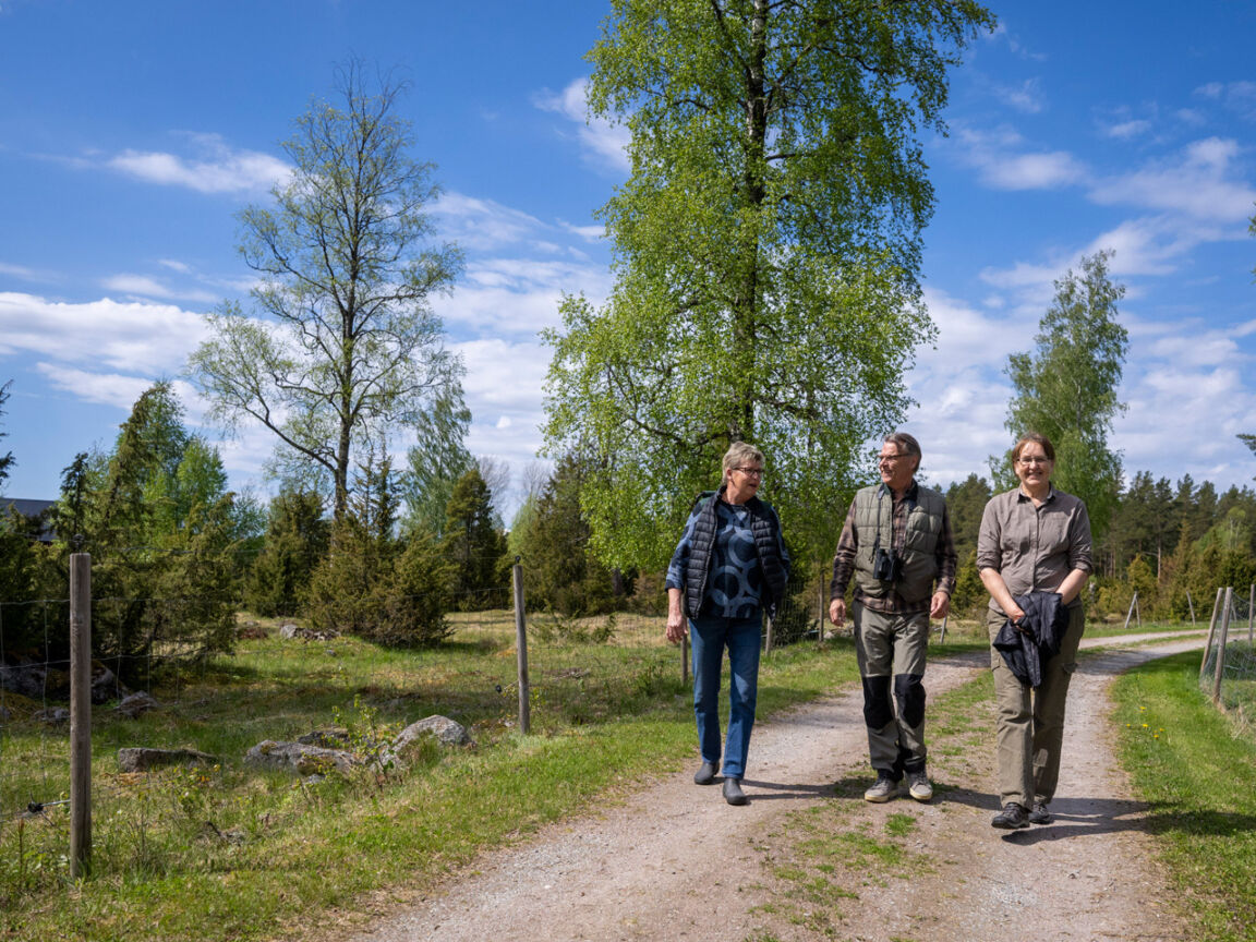 Visitvastmanland ulvsbomuren helen gaster