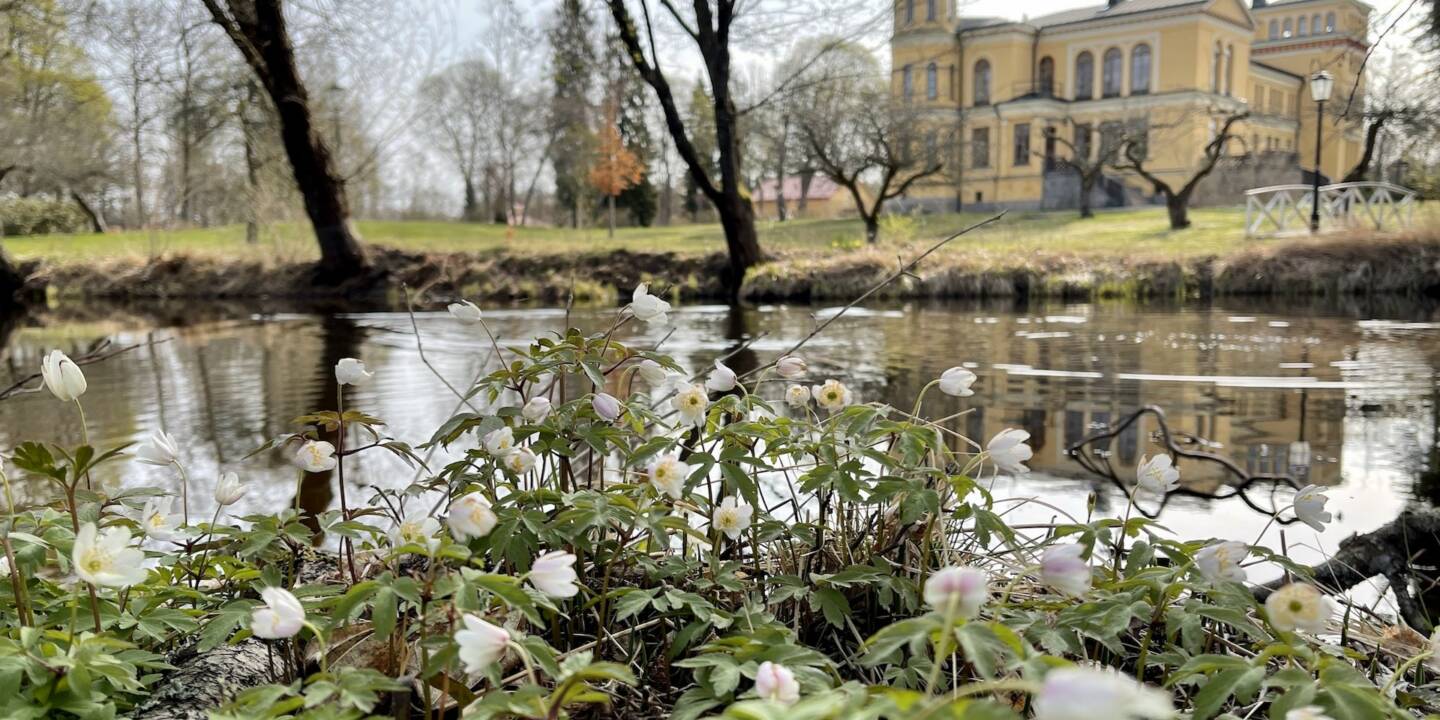 Visit vastmanland historisk vandring surahammar urban dimberg toppbild