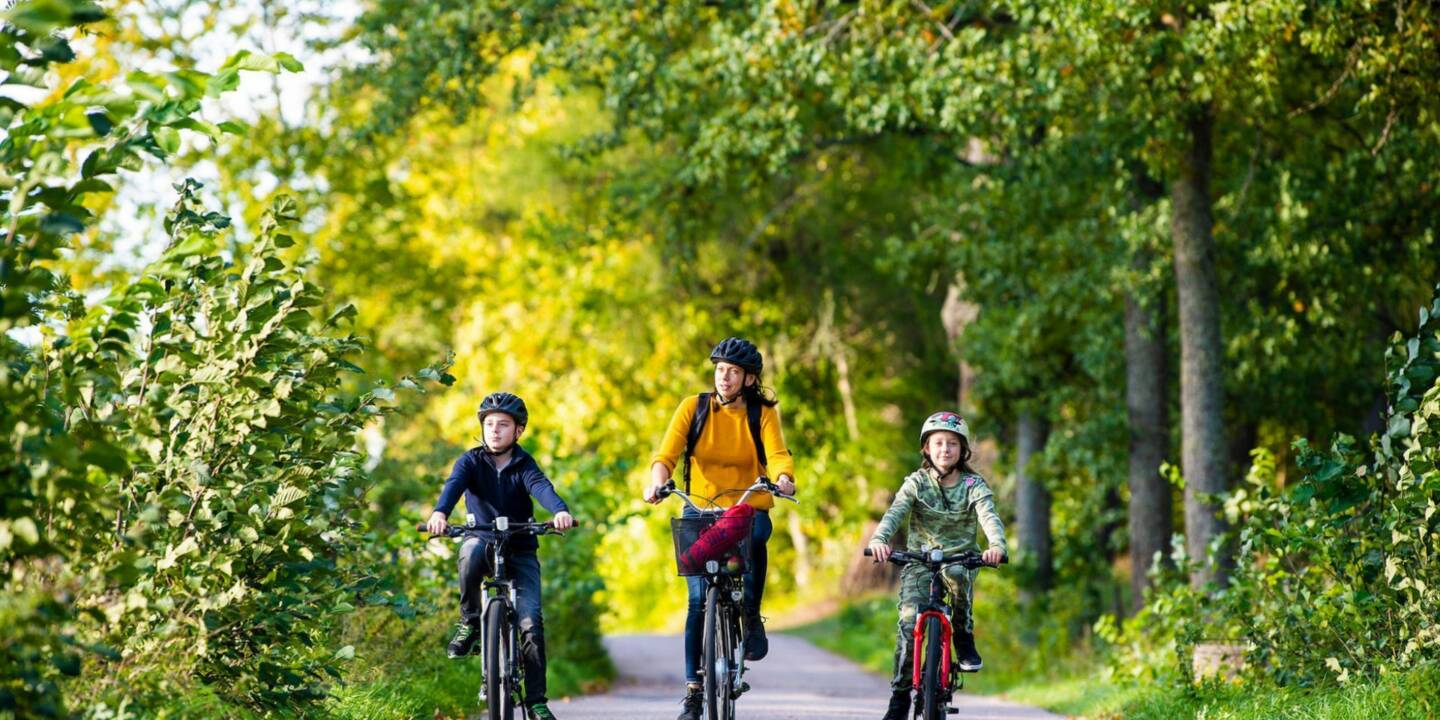 Visit vastmanland kungsor cykla