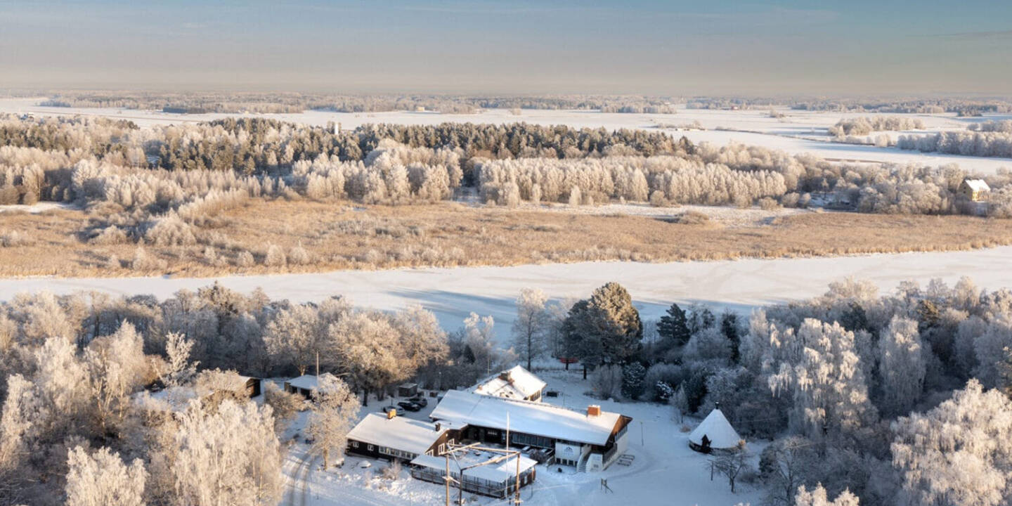 Visitvastmanland bjornon artikel toppbild