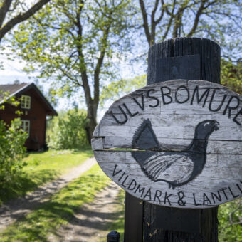 Visitvastmanland ulvsbomuren artikel header