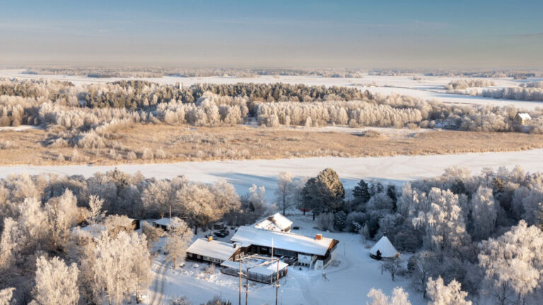 Visitvastmanland bjornon artikel toppbild